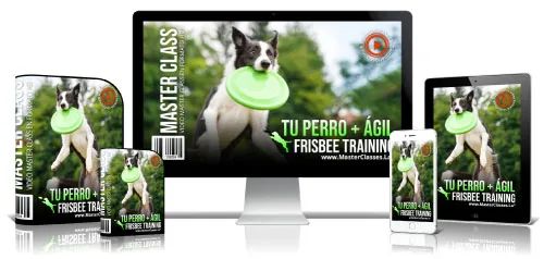 TU PERRO + ÁGIL – FRISBEE TRAINING